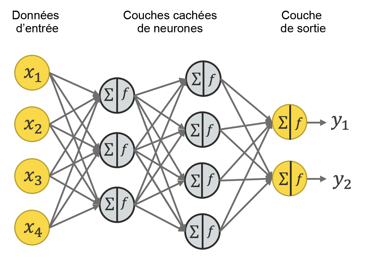 Comme d'autres modèles, un réseau de neurones vise à interpréter des données d'entrée (x) selon une fonction de classification (y). 